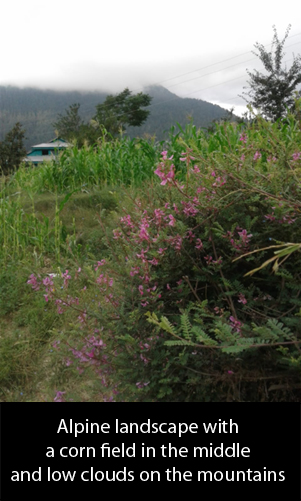 Discovering Kashmir
